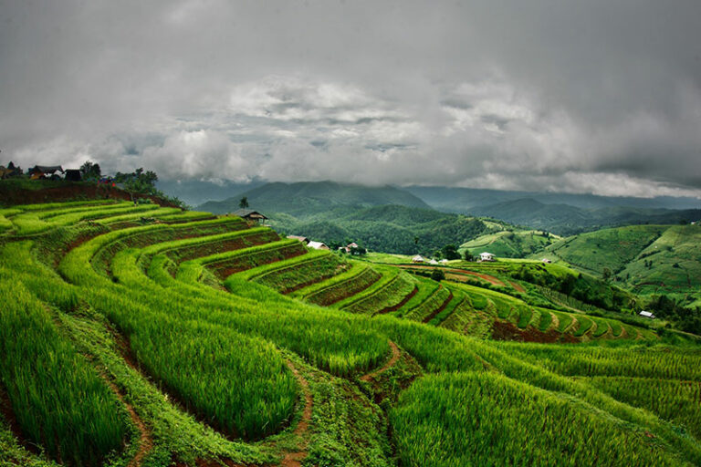 chiang mai good tour